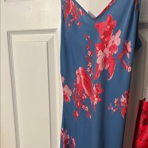 Blue Floral Dress with Red Accents